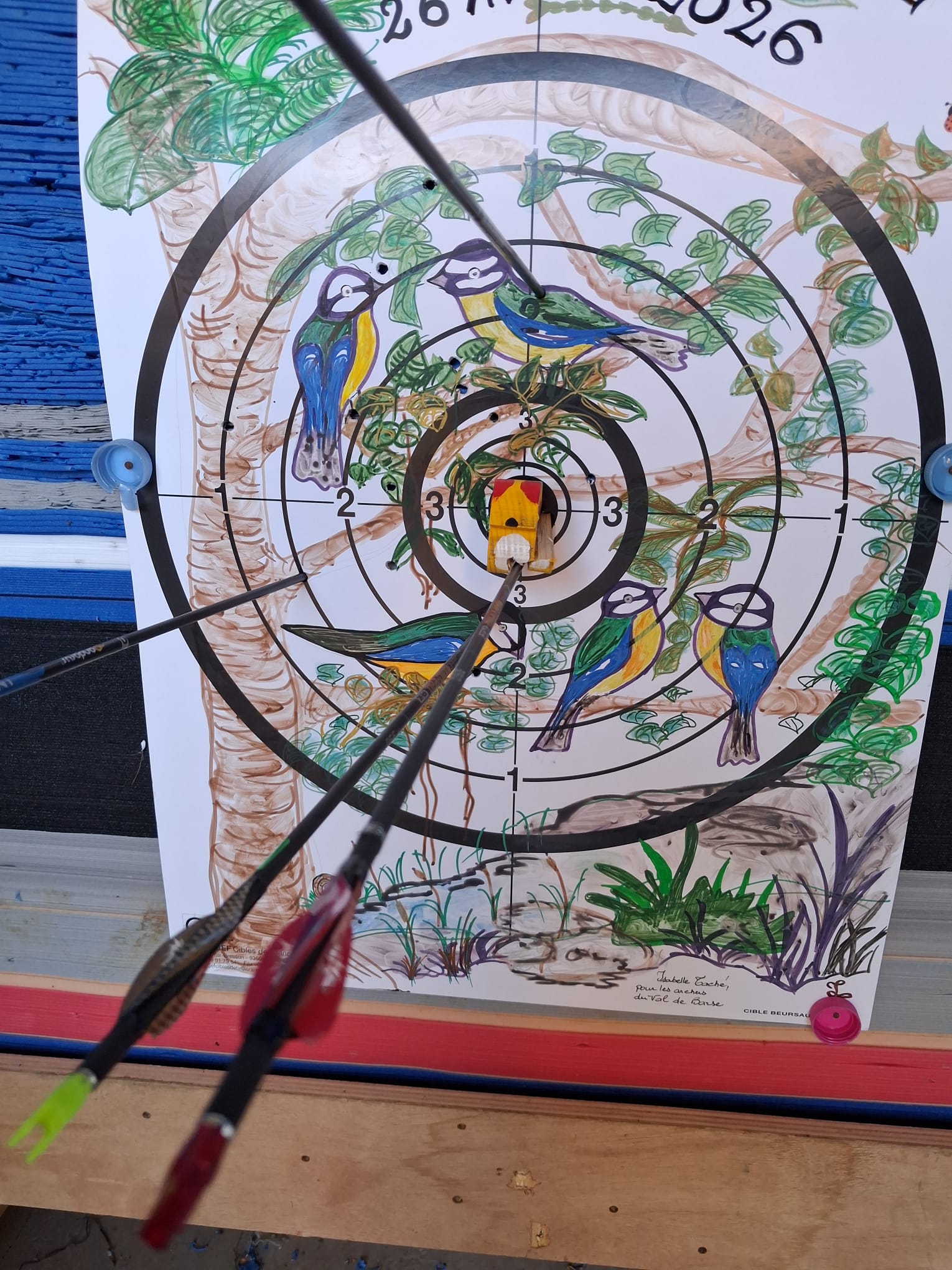 Owl Image